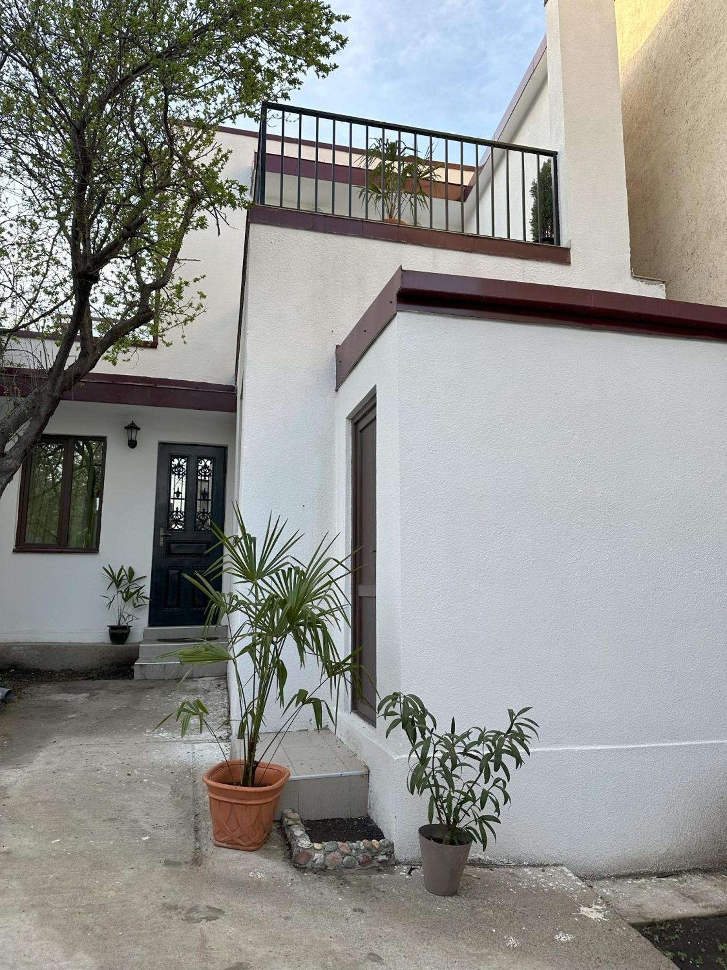 Three Palms Guest House Tbilisi Esterno foto